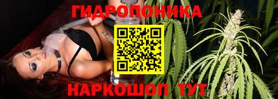 мдпв Гулькевичи