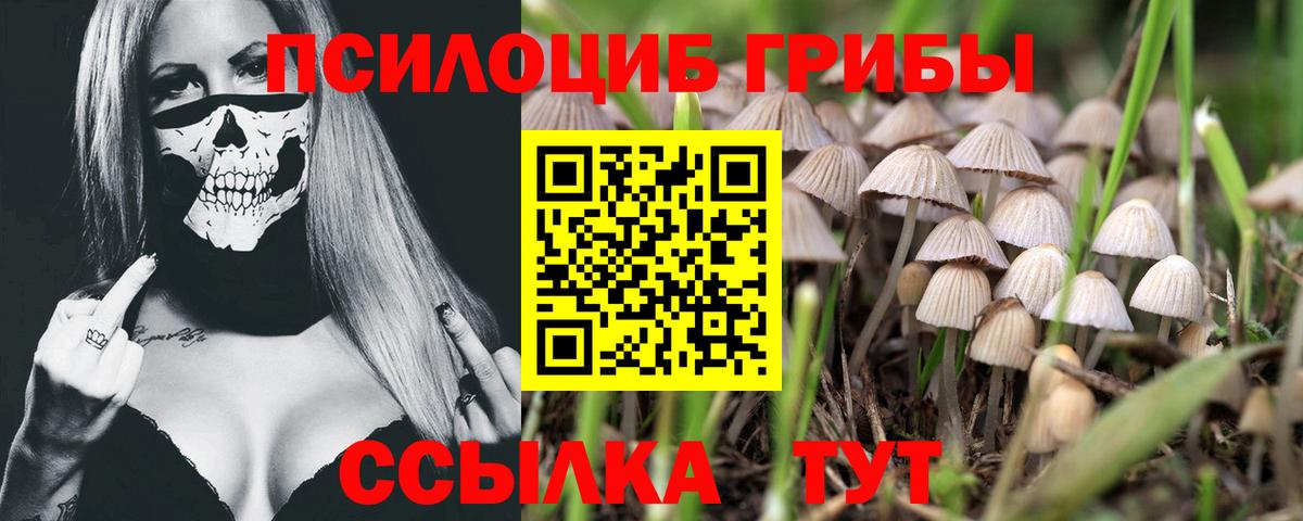 Псилоцибиновые грибы мухоморы Надым